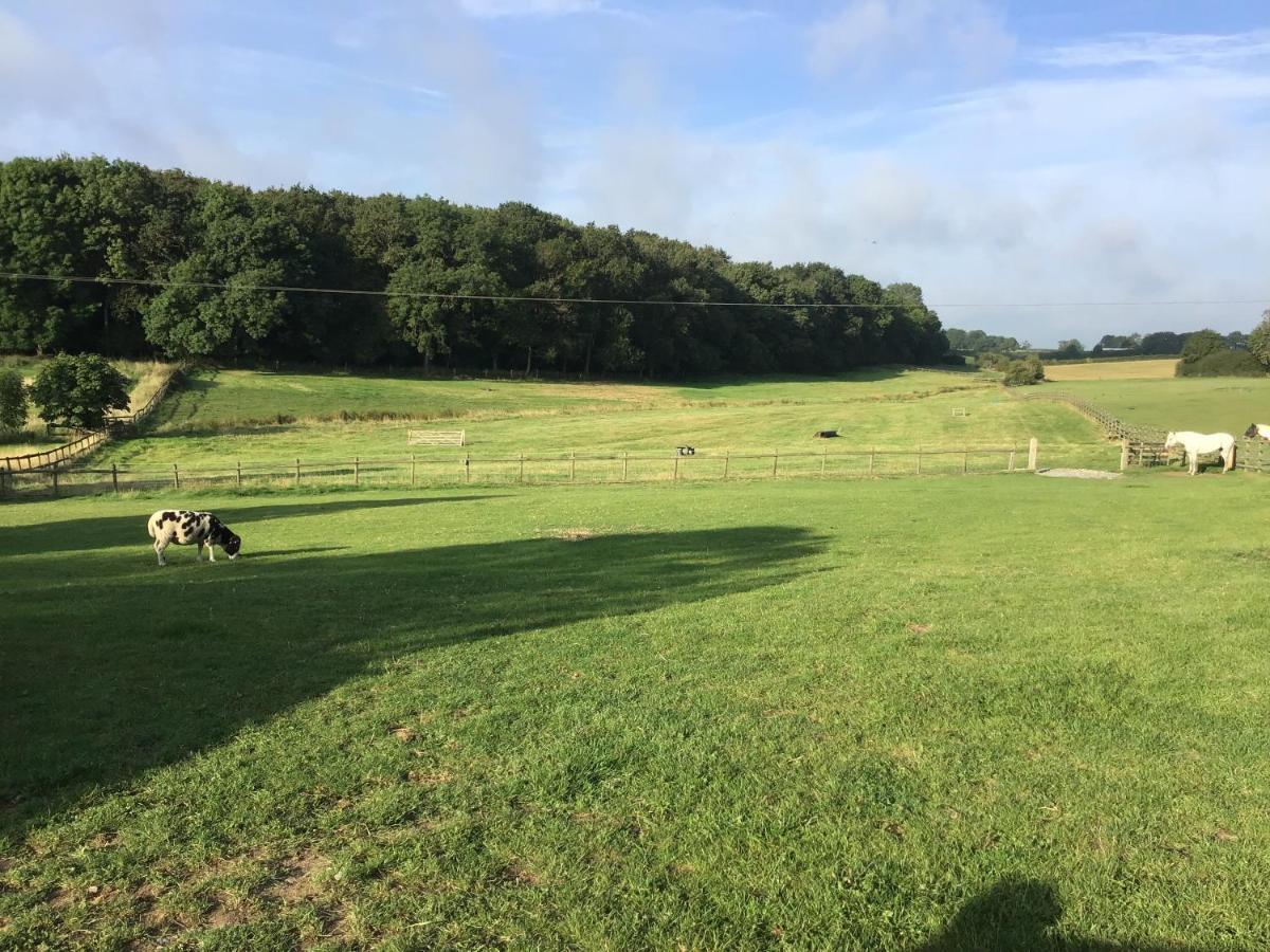 The Grange Silverstone Towcester Eksteriør bilde